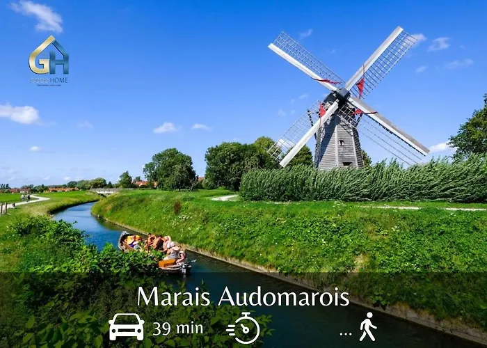 Plum - Centre * Dunkirk